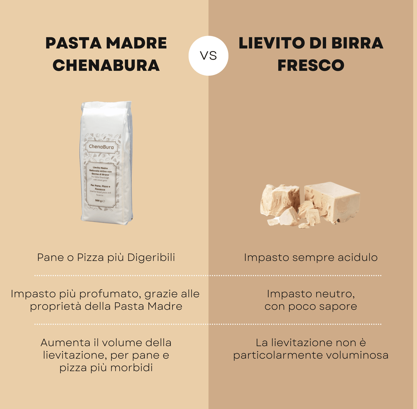 Pasta Madre Seca con Levadura 500 gr