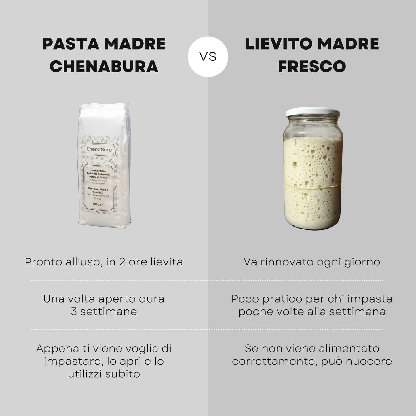 Pasta Madre Seca con Levadura 500 gr