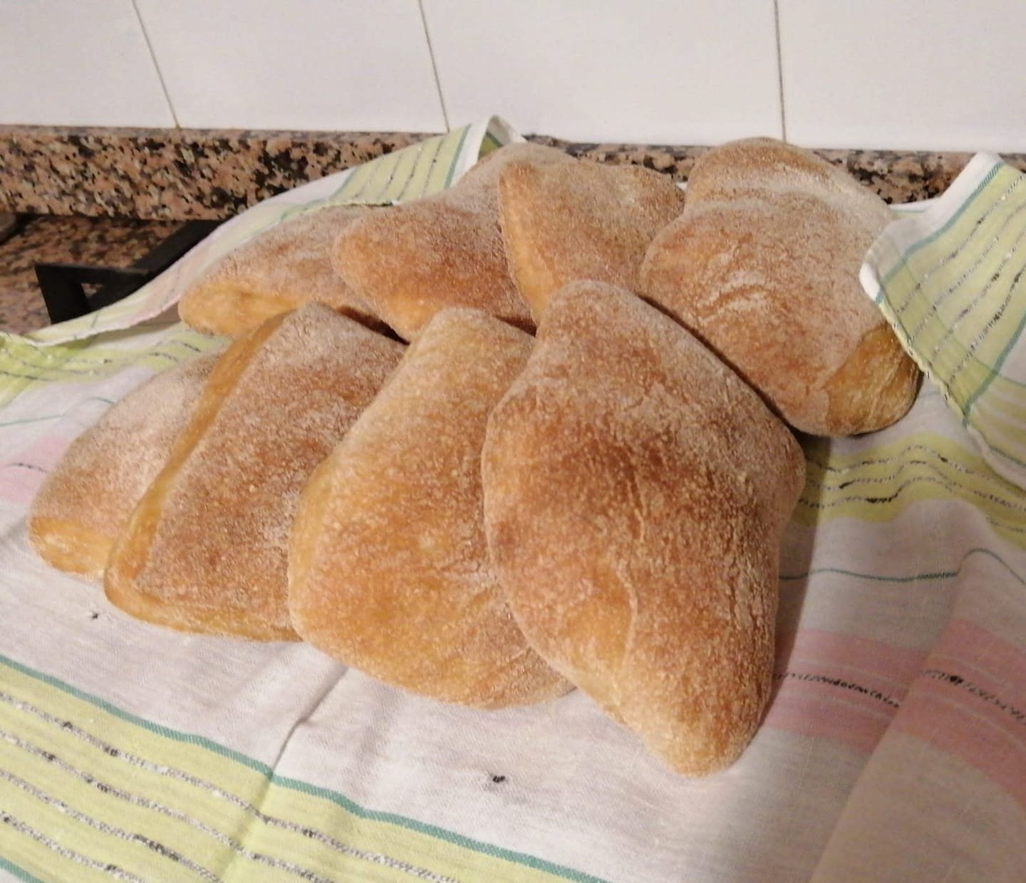 Pasta madre Chenabura